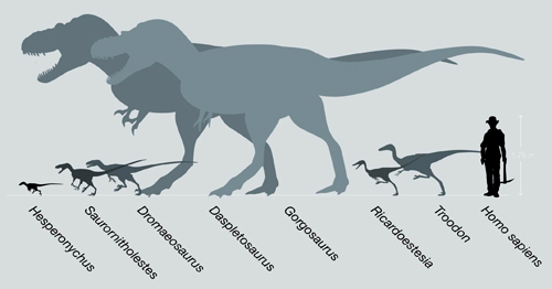 biggest vs largest