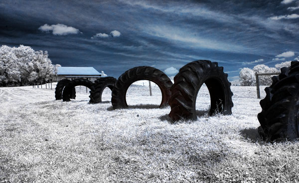 infrared photography examples
