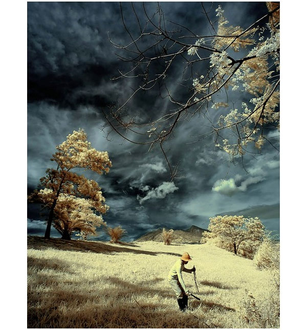 infrared photography examples