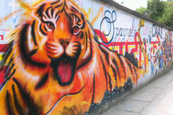 A-Tiger-mural-on-the-strets-of-Kathmandu