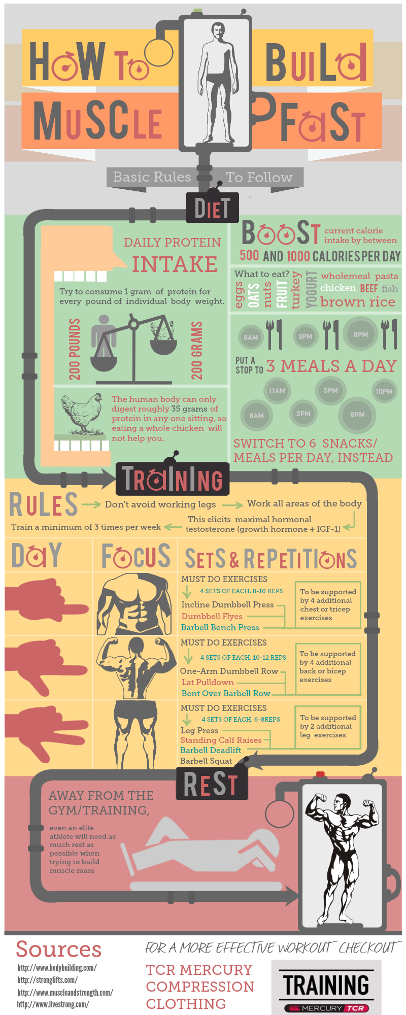 How-to-build-muscle-fast-infographic