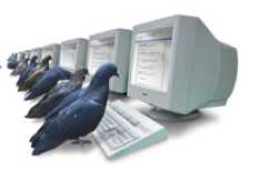 PigeonRank