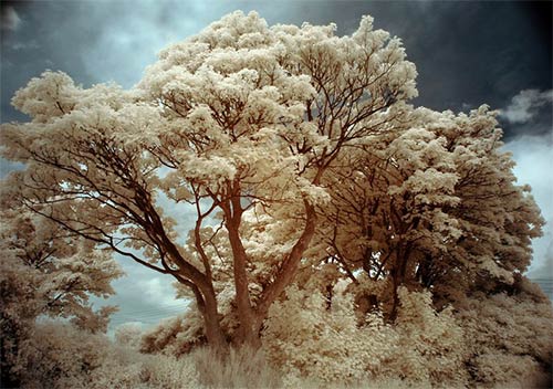 instantShift - Brilliant Examples of Infrared Photography instantShift - Brilliant Examples of Infrared Photography