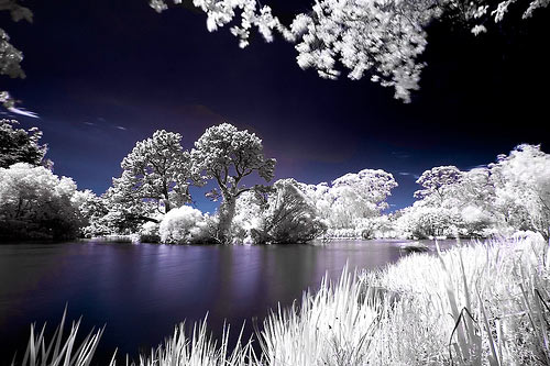 instantShift - Brilliant Examples of Infrared Photography instantShift - Brilliant Examples of Infrared Photography