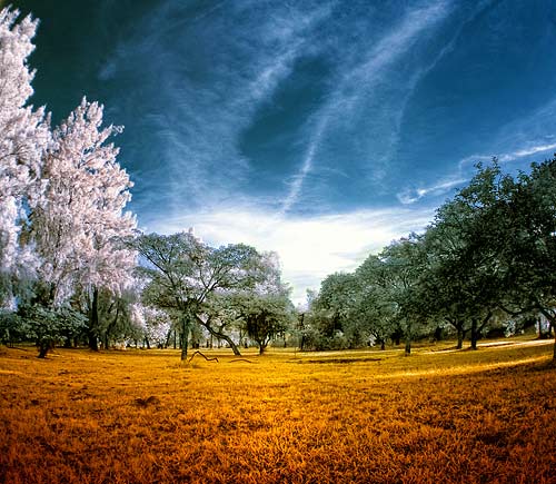 instantShift - Brilliant Examples of Infrared Photography instantShift - Brilliant Examples of Infrared Photography