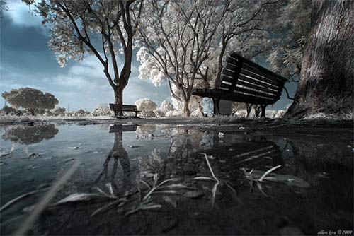 instantShift - Brilliant Examples of Infrared Photography instantShift - Brilliant Examples of Infrared Photography