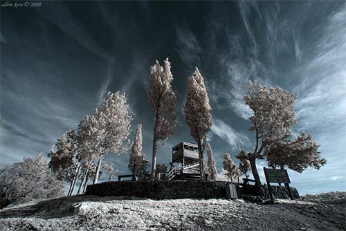 instantShift - Brilliant Examples of Infrared Photography instantShift - Brilliant Examples of Infrared Photography