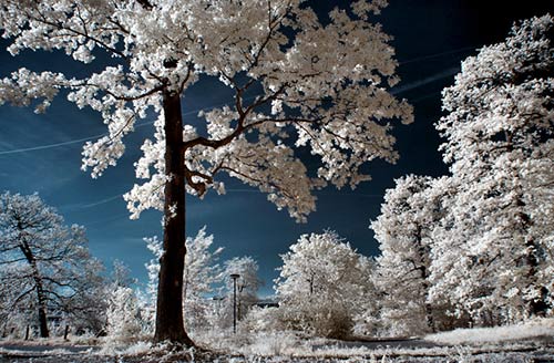 instantShift - Brilliant Examples of Infrared Photography instantShift - Brilliant Examples of Infrared Photography