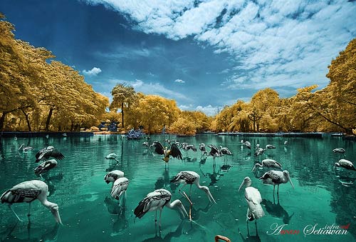 instantShift - Brilliant Examples of Infrared Photography instantShift - Brilliant Examples of Infrared Photography