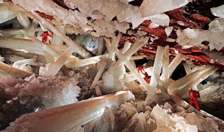 The 15 Craziest Things In Nature You Won’t Believe Actually Exist the 15 craziest things in nature you wont believe actually exist 5 The 15 Craziest Things In Nature You Won’t Believe Actually Exist
