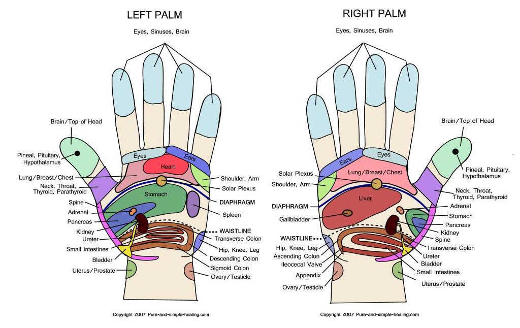 Reflexology Hand Chart Printable Customize and Print
