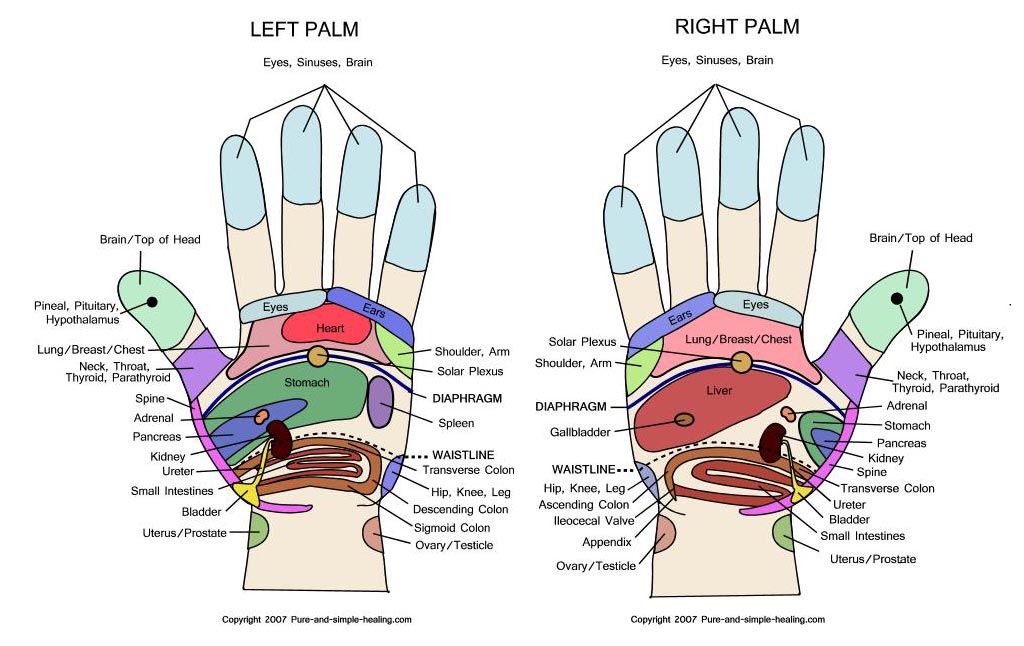 Printable Hand Reflexology Chart