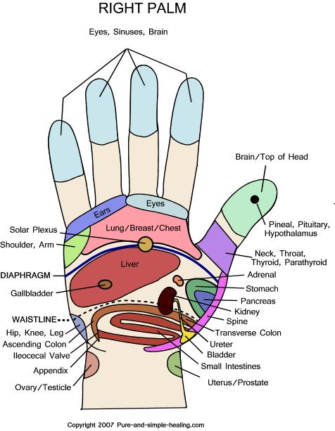 Know Your Hand Pressure Point - Hand Reflexology Chart