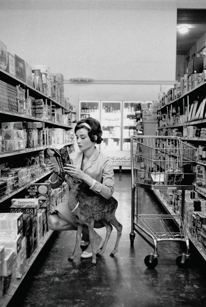 Audrey Hepburn shopping with her pet deer “Ip” in Beverly Hills, CA, 1958