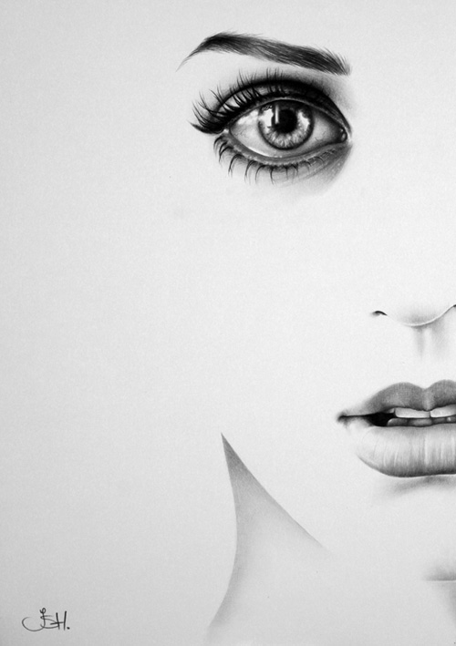 realistic pencil drawing