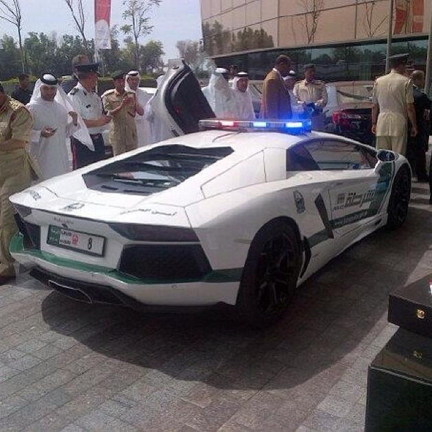 Day In Dubai 12 15 Crazy Things You Might See In Dubai
