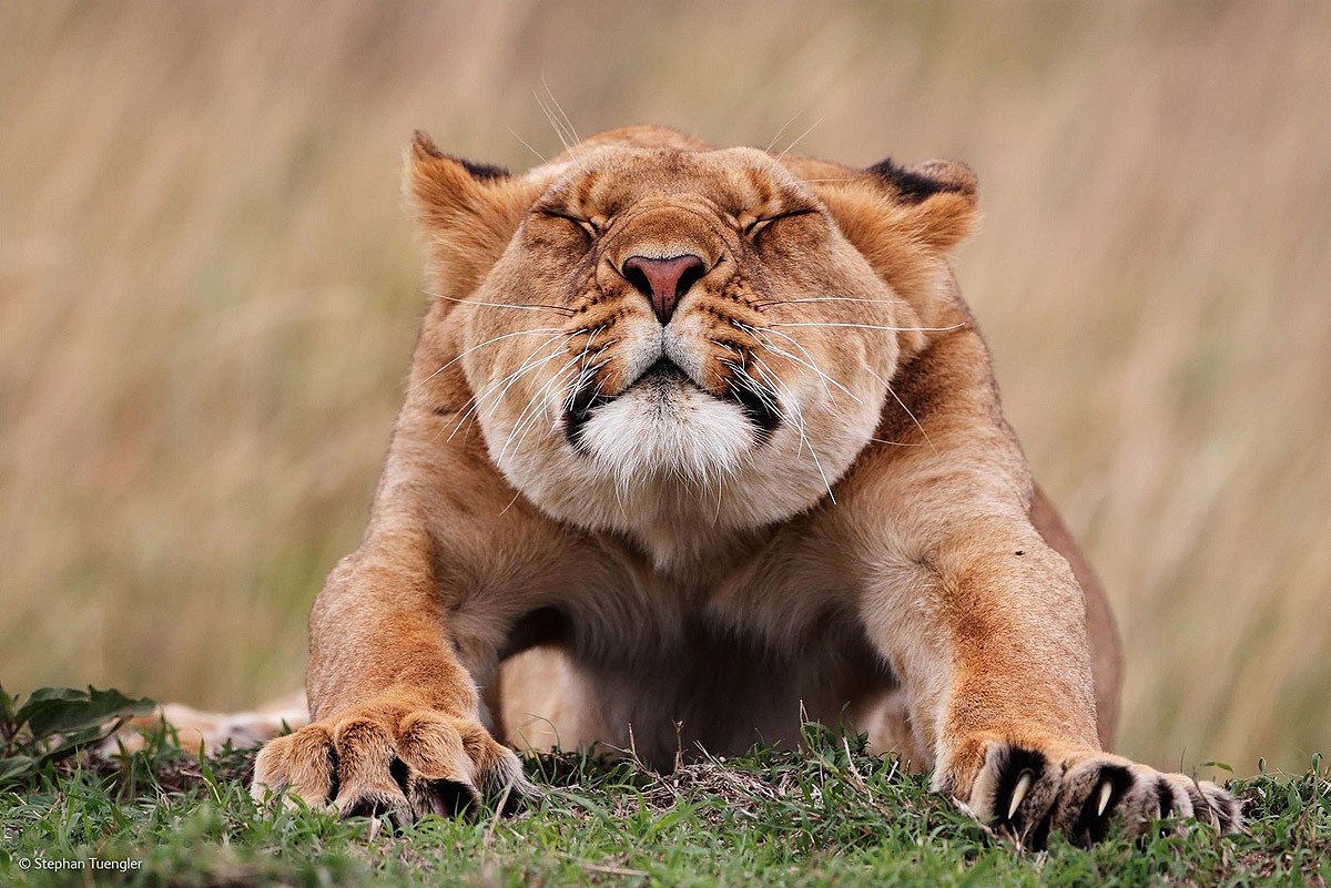 Wildlifephotographer03
