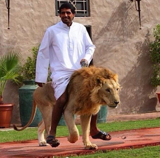 15 Crazy Things You Might See In Dubai