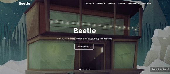 Beetle - free website templates