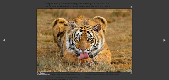 Magnific Popup - Jquery