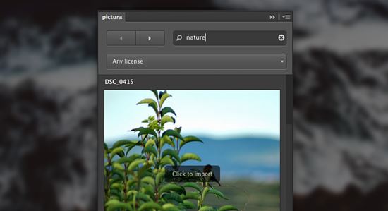 Pictura-photoshop