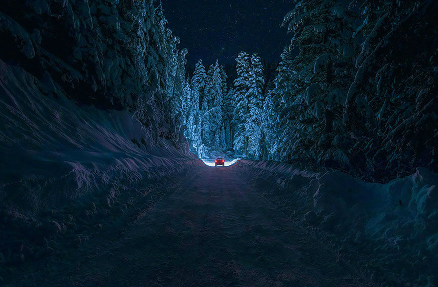 Amazing Photos of 20 Mysterious Forests From Around The World