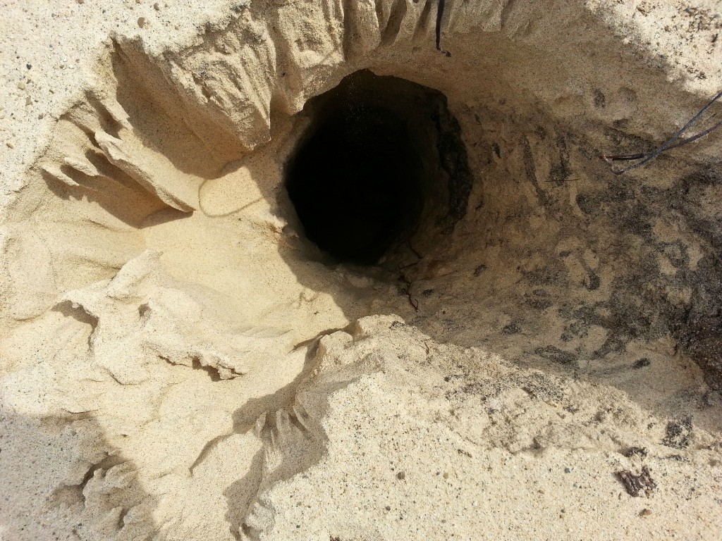 Mount Baldy Sand Dune, Indiana