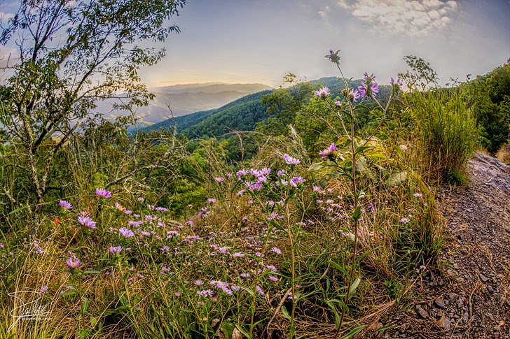 Appalachian Trail, USA
