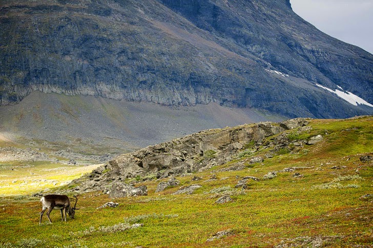 Kungsleden, sweden