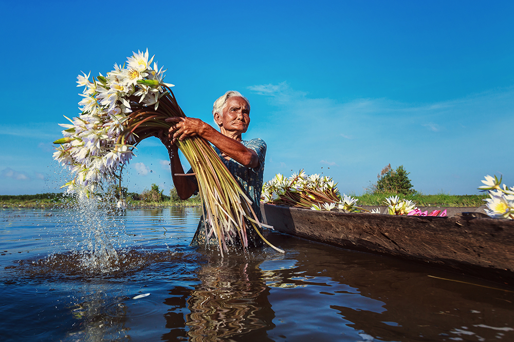 7. Vietnam Living - Lotus gather women by JetHuynh / Picfair