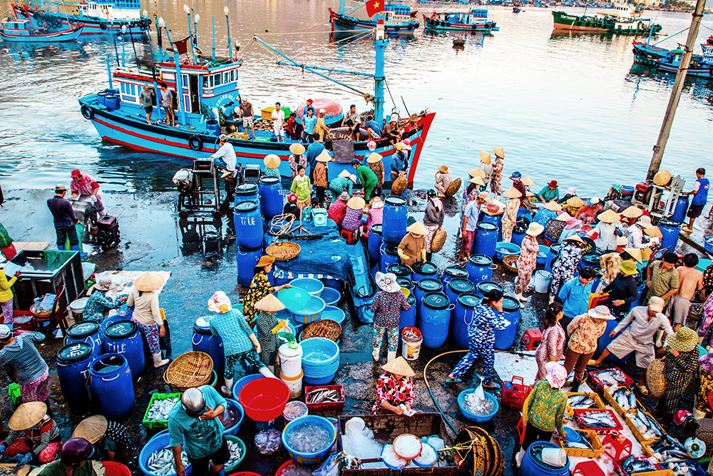 21. Fishery market by wolf / Picfair
