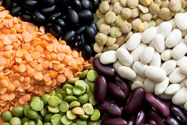 Dried beans - Healthy High Protein Foods