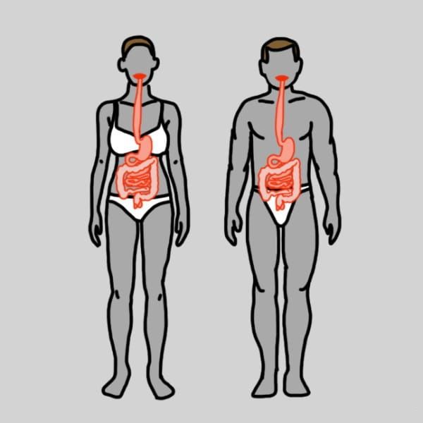 Fight Stomach1