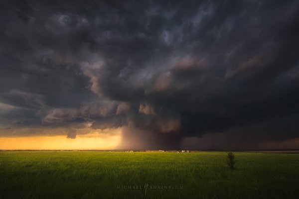 The Approach - Stunning Nature Photography by Michael Shainblum <3 <3