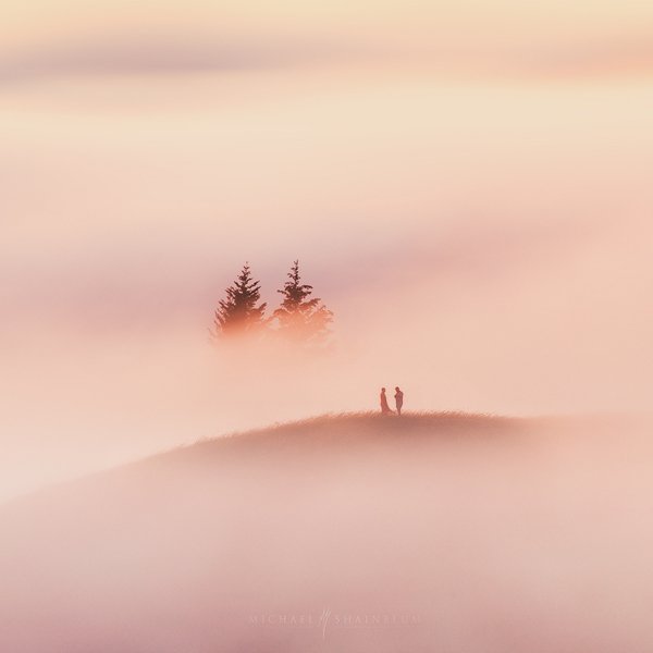 Together We Stand - Stunning Nature Photography by Michael Shainblum <3 <3