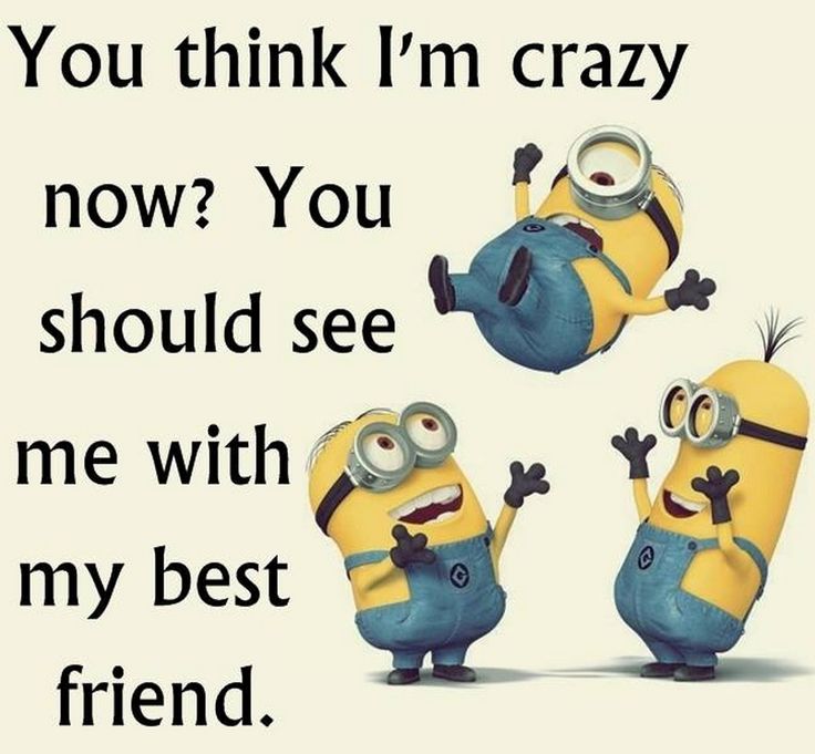 Top 40 Funniest Minions Memes #funny meme