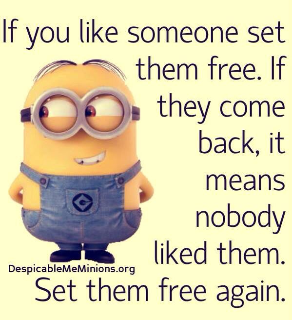 Top 40 Funniest Minions Memes #hilarious