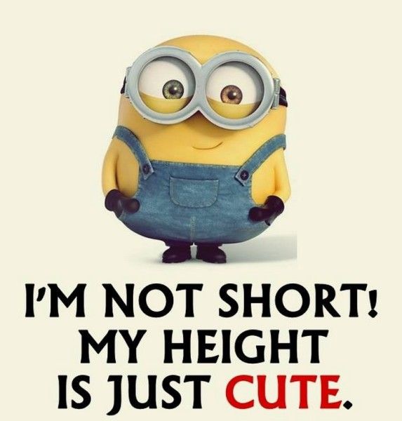 Top 40 Funniest Minions Memes #jokes