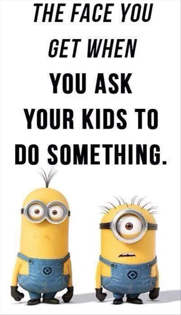 Pin on Funny Despicable me memes