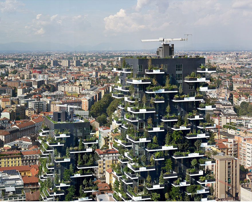 apartment-building-tower-trees-wcth05