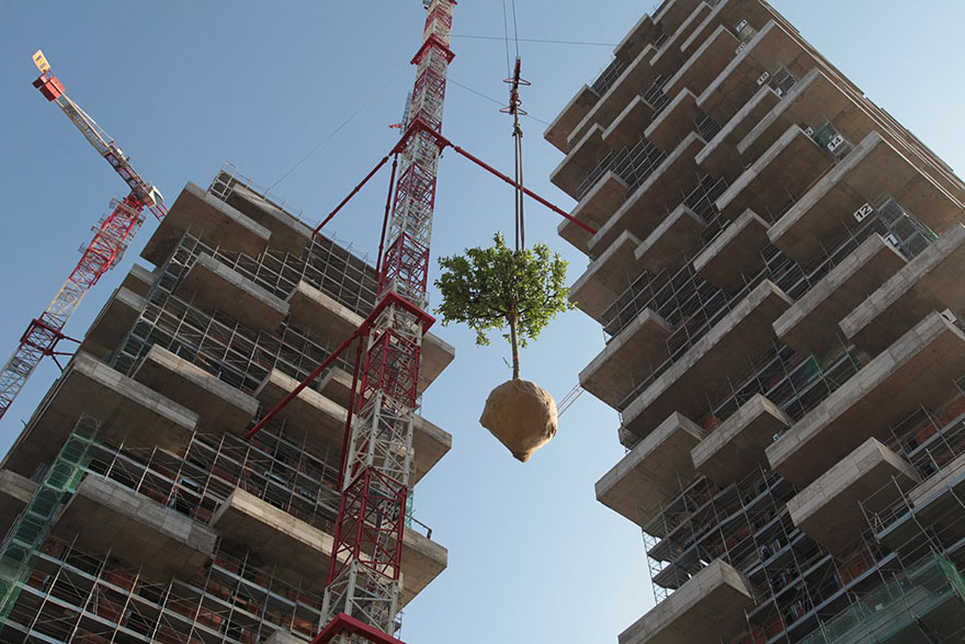 apartment-building-tower-trees-wcth06