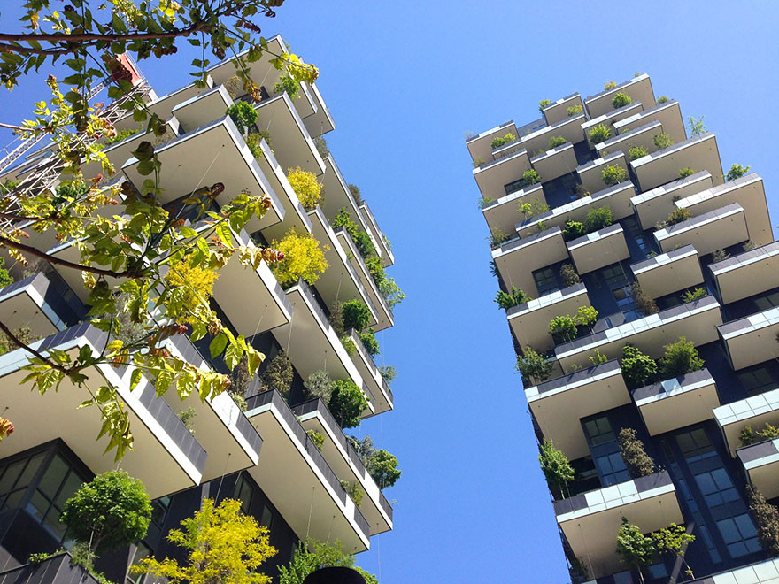 apartment-building-tower-trees-wcth07