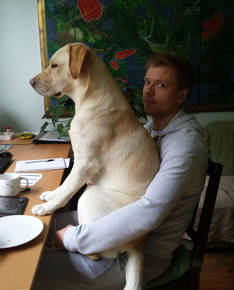 Hilarious Images of Dogs Annoying Their Humans in the Most Adorable Fashion
