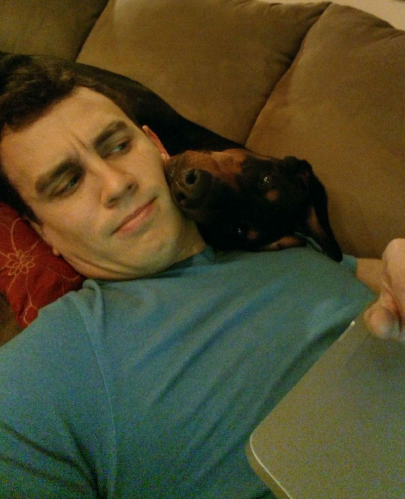 Hilarious Images of Dogs Annoying Their Humans in the Most Adorable Fashion