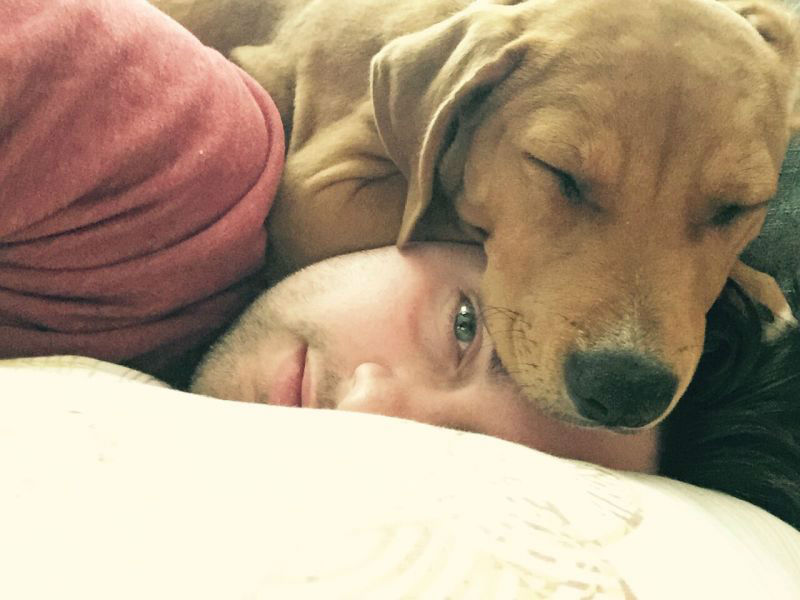 Hilarious Images of Dogs Annoying Their Humans in the Most Adorable Fashion