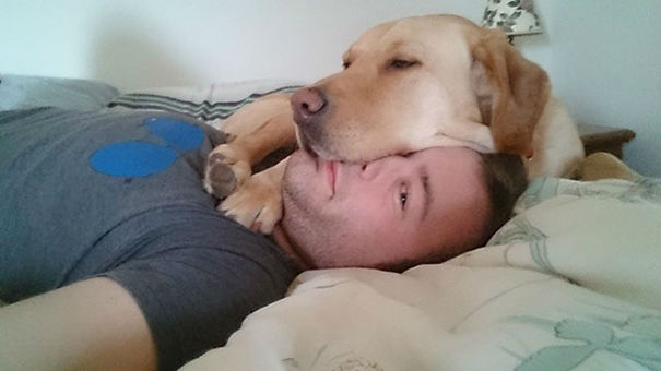 Hilarious Images of Dogs Annoying Their Humans in the Most Adorable Fashion Hilarious Images of Dogs Annoying Their Humans in the Most Adorable Fashion