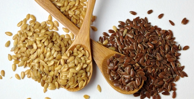 flaxseed2