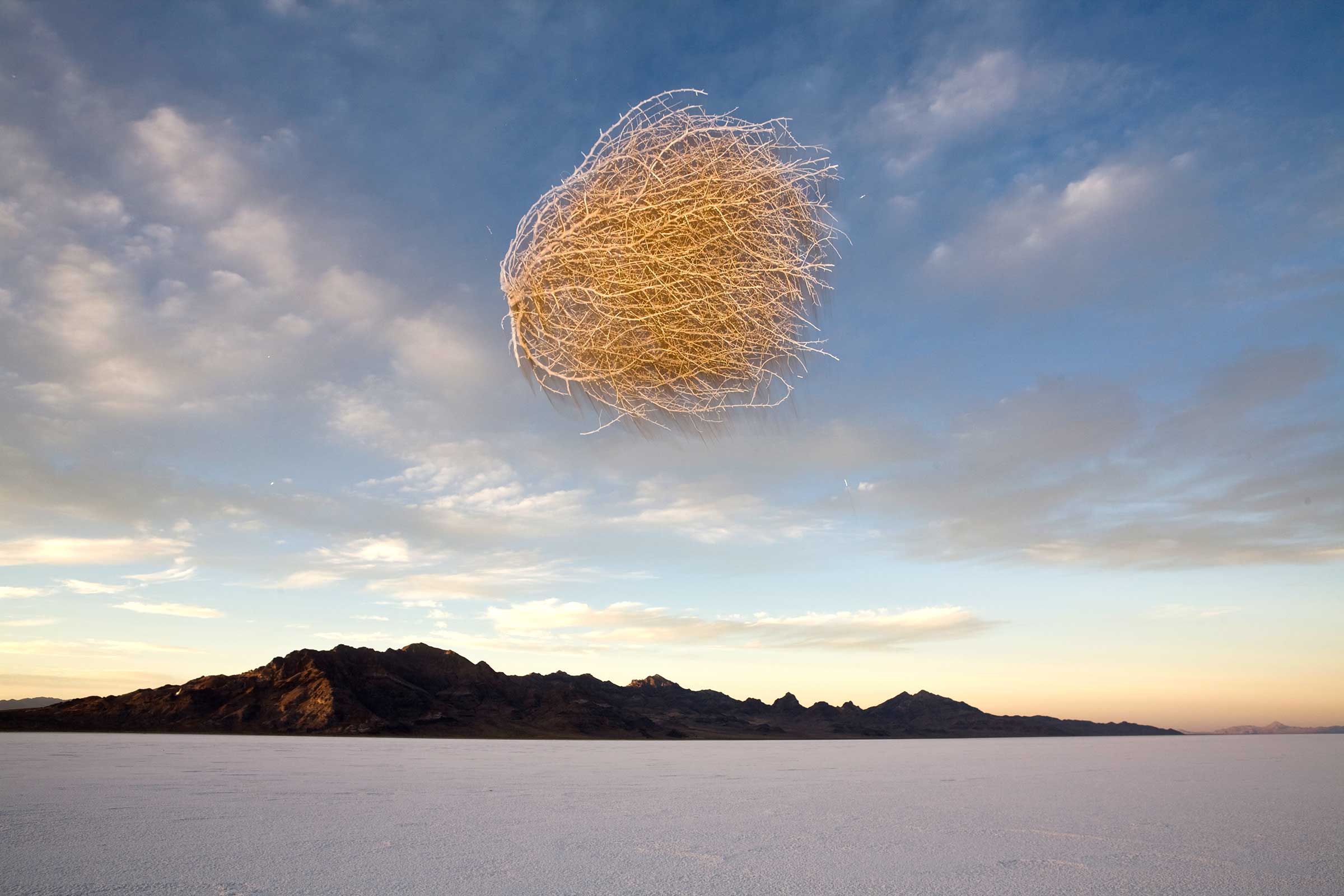 national-geographic-rarely-seen5