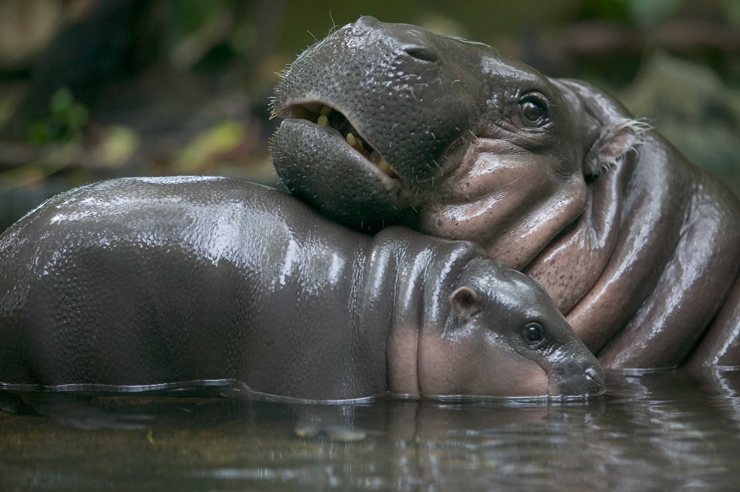 national-geographic-rarely-seen9