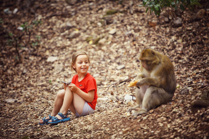 Meeting the wild monkeys in Morocco